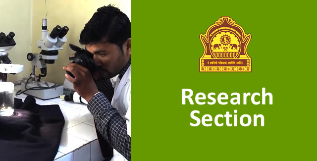 Research Section